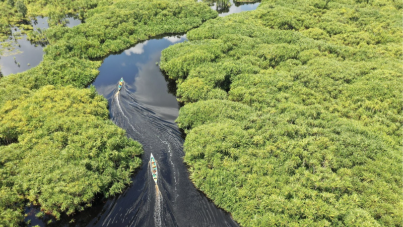 Belterra, na Amazônia, quer ser a “Machu Picchu brasileira”