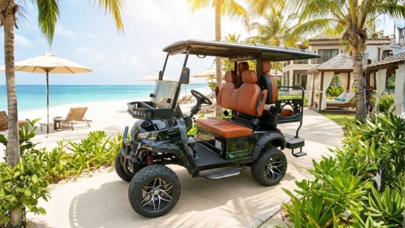 Ecoolmove aplica tropicalização em big carts no Brasil