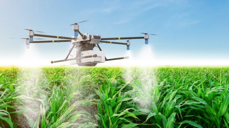 Tecnologia impulsiona sustentabilidade no agronegócio brasileiro