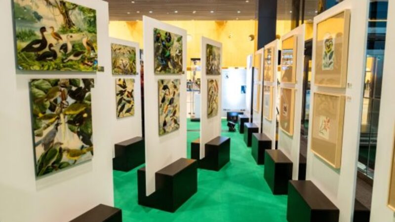 Exposição com acervo de Goeldi segue para o Rio de Janeiro