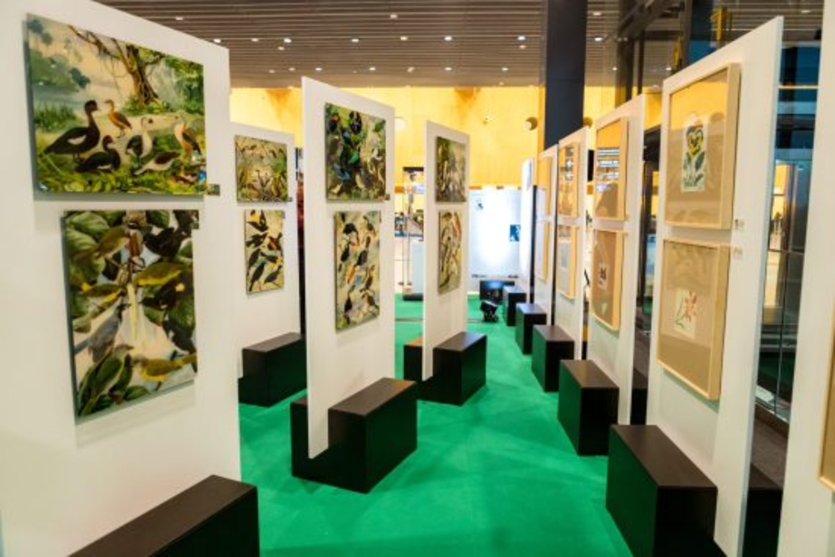 Exposição O Legado Suíço na Amazônia ocorre em Florianópolis