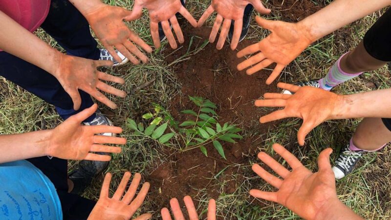 Relatórios de sustentabilidade de escolas ganham relevância