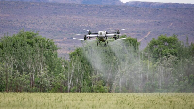 Consórcios ampliam acesso à tecnologia no campo