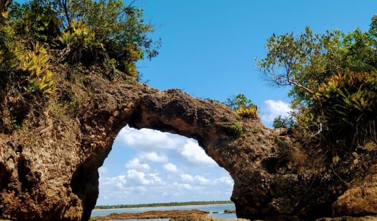 Ilhéus reúne experiências que mostram o sul da Bahia em movimento