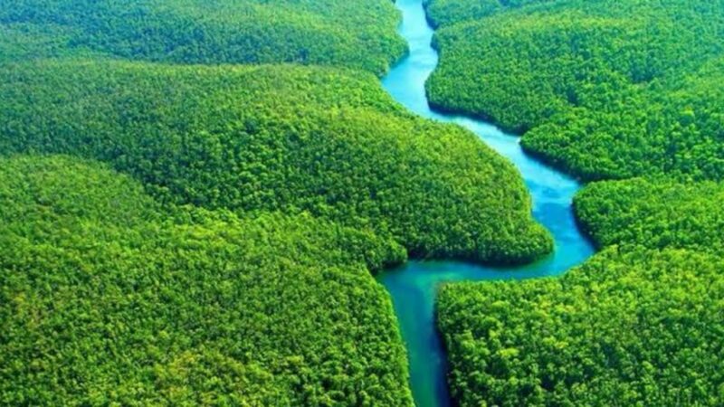Brasil terá primeiro projeto do mundo na metodologia VM0048