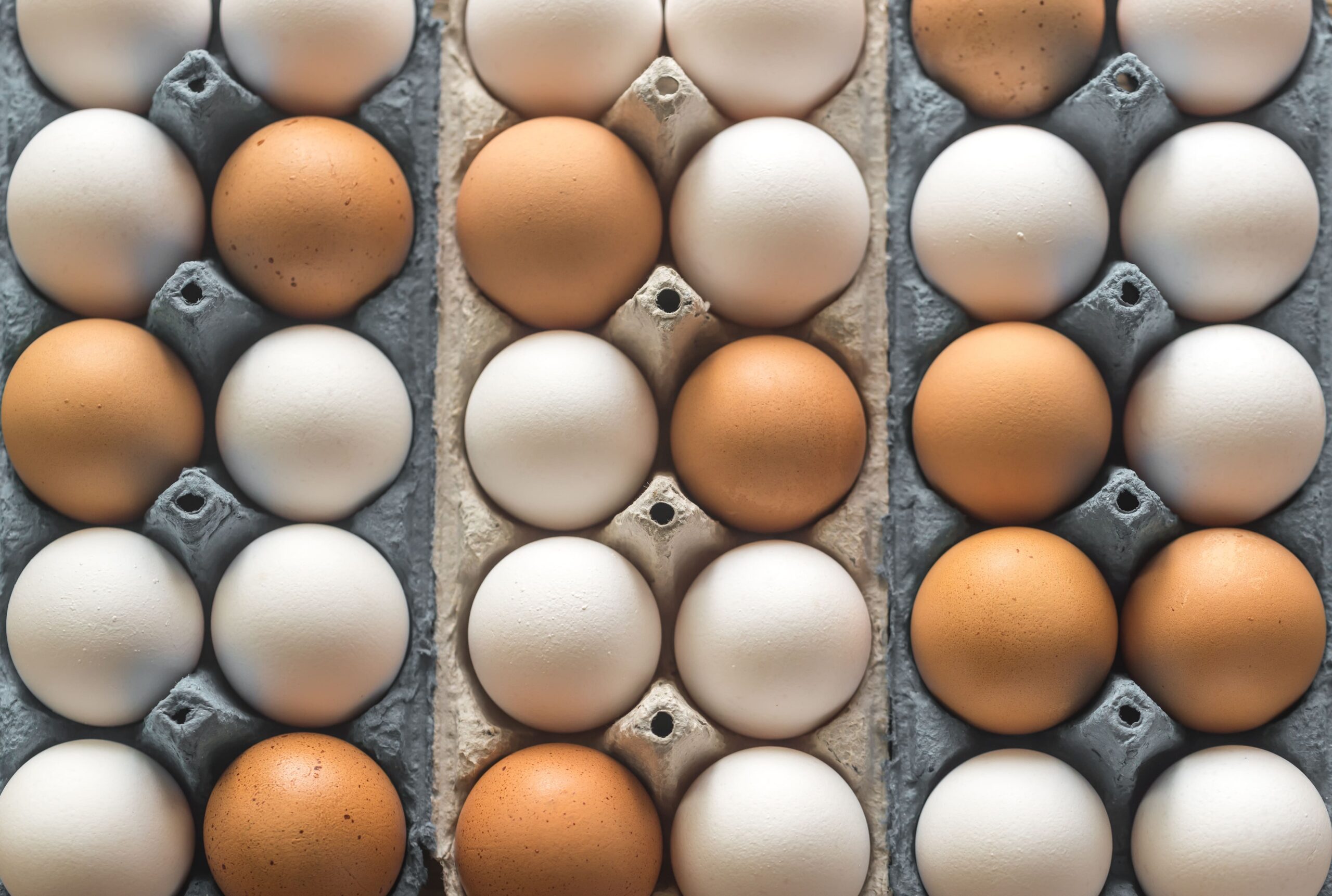 Surto de salmonela na Europa reacende alerta sobre cuidados na cozinha