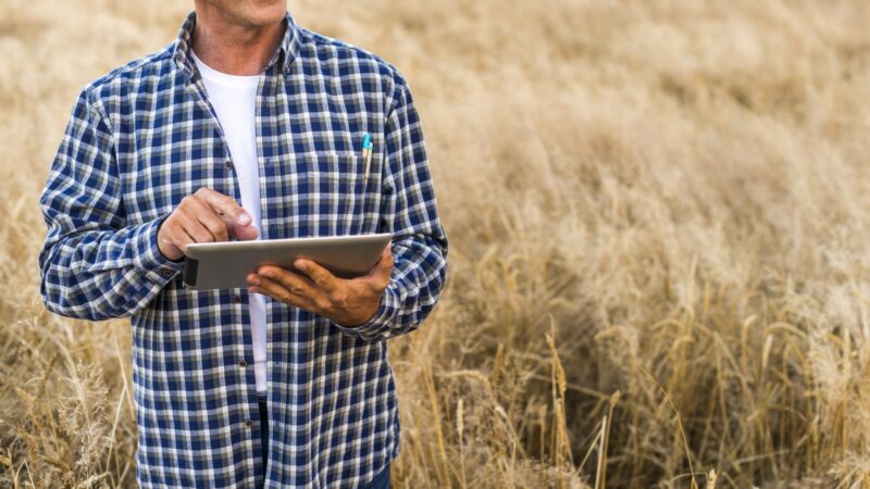 Pagamento rural exige atenção à segurança jurídica
