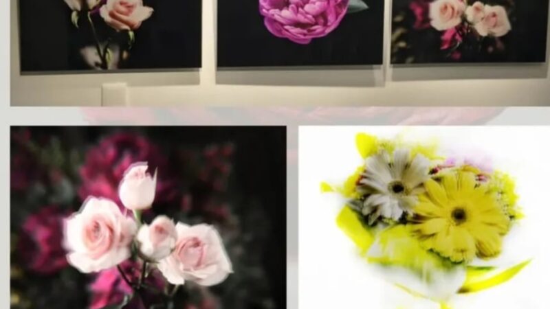 Flores: Malu Mesquita expõe nova série no espaço O Jardim