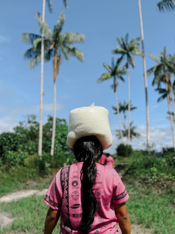 Mulheres lideram soluções climáticas locais no Brasil