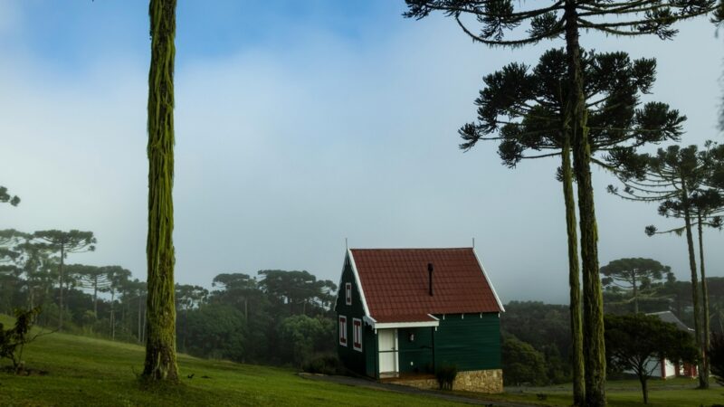 Receita Federal moderniza declaração do imposto rural em 2025