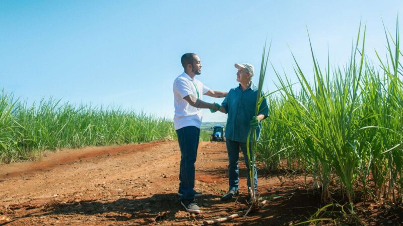 Crédito rural do Sicredi soma R$ 13,7 bilhões em São Paulo, Rio de Janeiro e Paraná