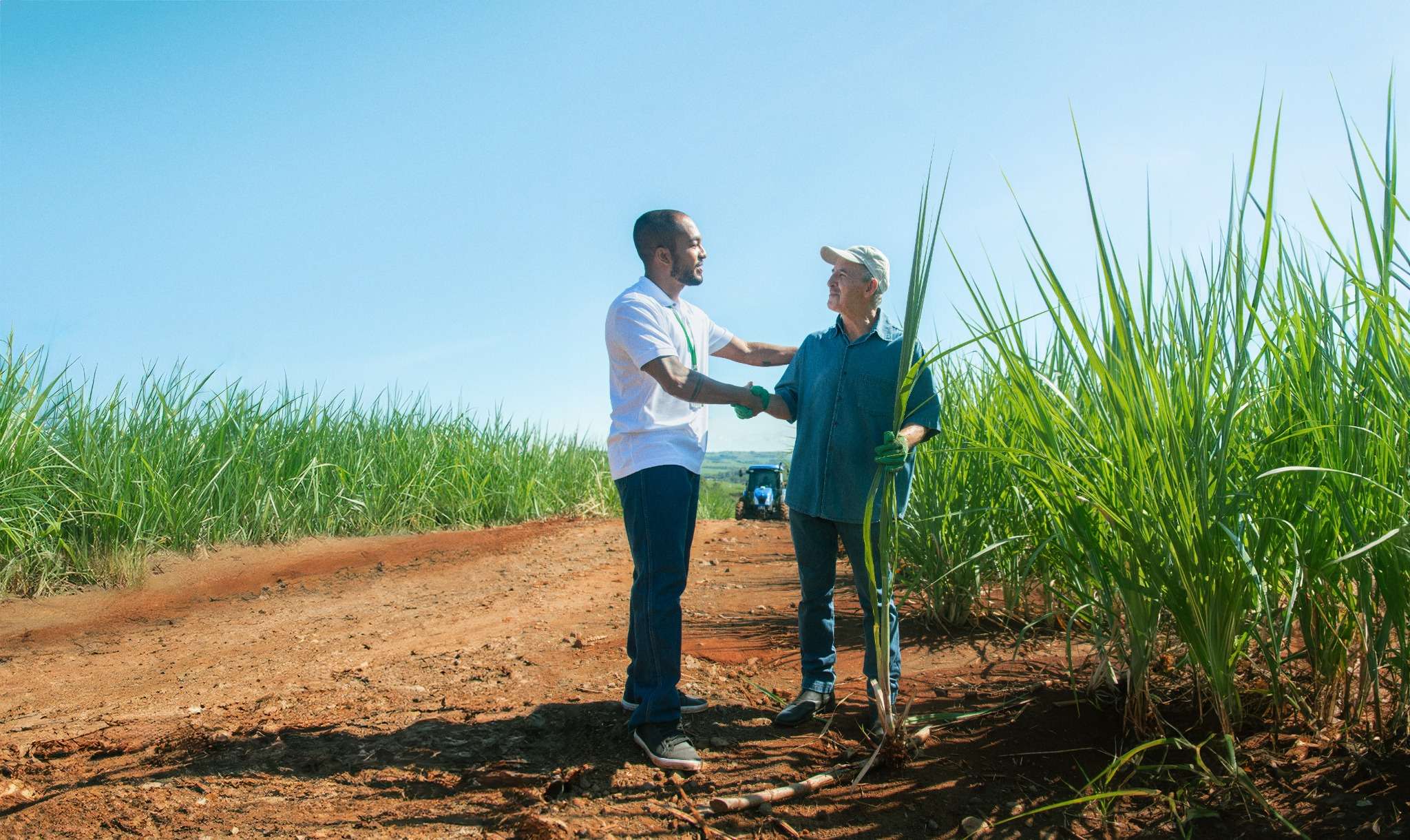 Crédito rural do Sicredi soma R$ 13,7 bilhões em São Paulo, Rio de Janeiro e Paraná