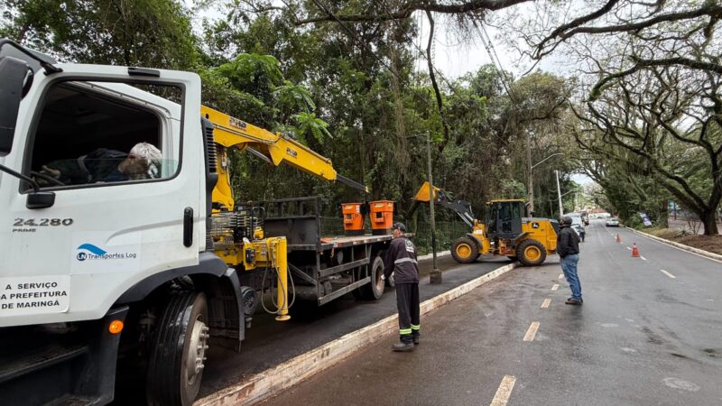 Temporal causa alagamentos, quedas de árvores e danos em diferentes regiões de Maringá