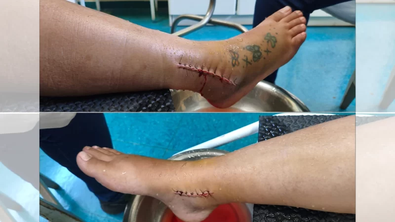 Brincando com o perigo no Mandacaru Encantado?