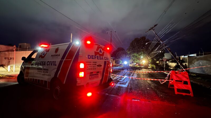 Vendaval em Maringá mobiliza equipes de emergência para desobstrução de vias e segurança